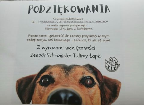 Schronisko Tulimy Łapki