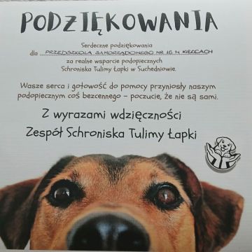 Schronisko Tulimy Łapki